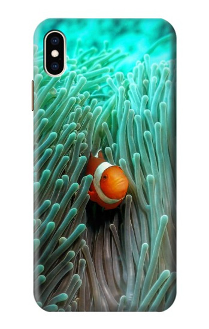S3893 Ocellaris clownfish Funda Carcasa Case para iPhone XS Max