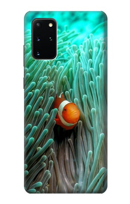 S3893 Ocellaris clownfish Funda Carcasa Case para Samsung Galaxy S20 Plus, Galaxy S20+