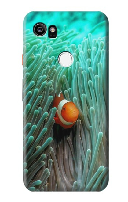 S3893 Ocellaris clownfish Funda Carcasa Case para Google Pixel 2 XL