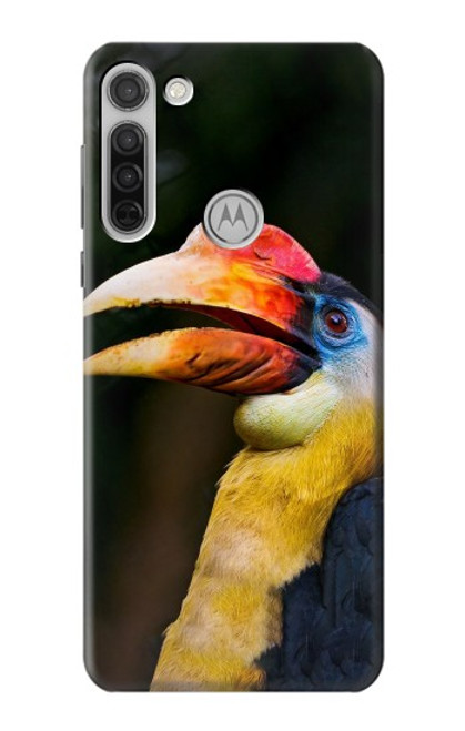 S3876 Colorful Hornbill Funda Carcasa Case para Motorola Moto G8