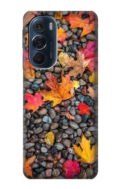 S3889 Maple Leaf Funda Carcasa Case para Motorola Edge X30