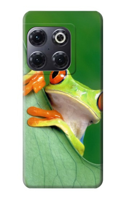 S1047 Little Frog Funda Carcasa Case para OnePlus 10T