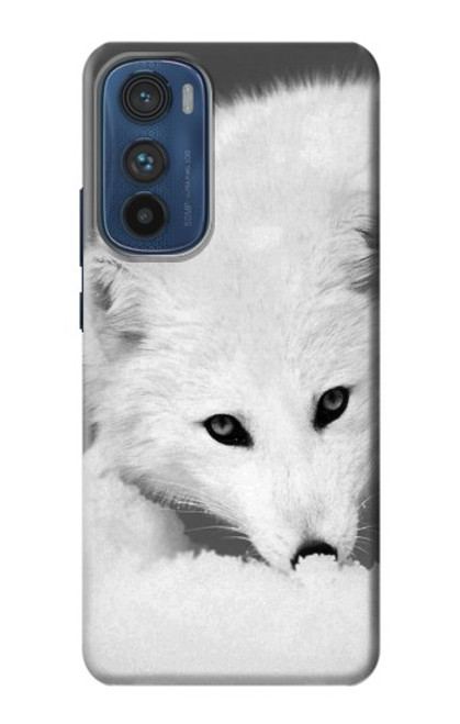 S2569 White Arctic Fox Funda Carcasa Case para Motorola Edge 30