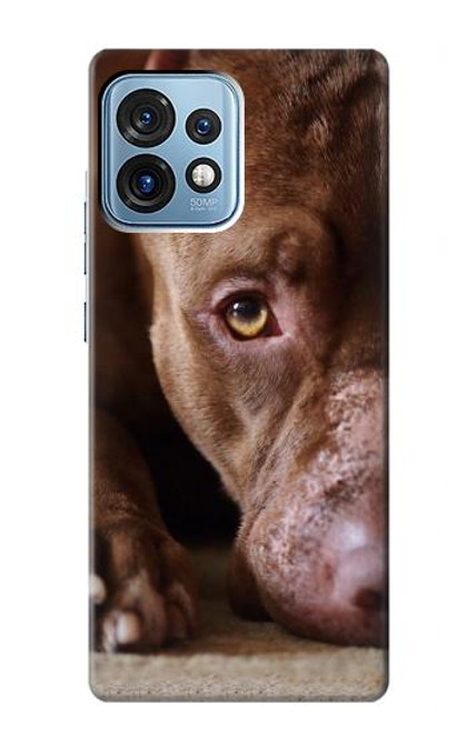 S0519 PitBull Face Funda Carcasa Case para Motorola Edge+ (2023), X40, X40 Pro, Edge 40 Pro