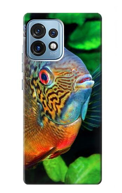 S1812 Cichlid Fish Funda Carcasa Case para Motorola Edge+ (2023), X40, X40 Pro, Edge 40 Pro