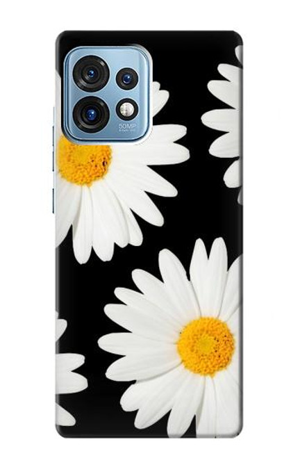 S2477 Daisy flower Funda Carcasa Case para Motorola Edge+ (2023), X40, X40 Pro, Edge 40 Pro