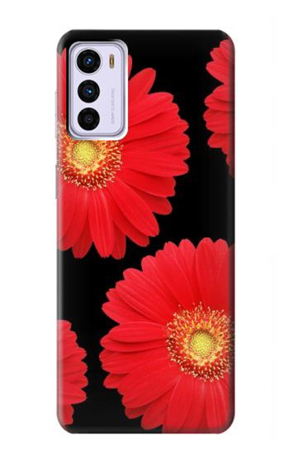 S2478 Red Daisy flower Funda Carcasa Case para Motorola Moto G42