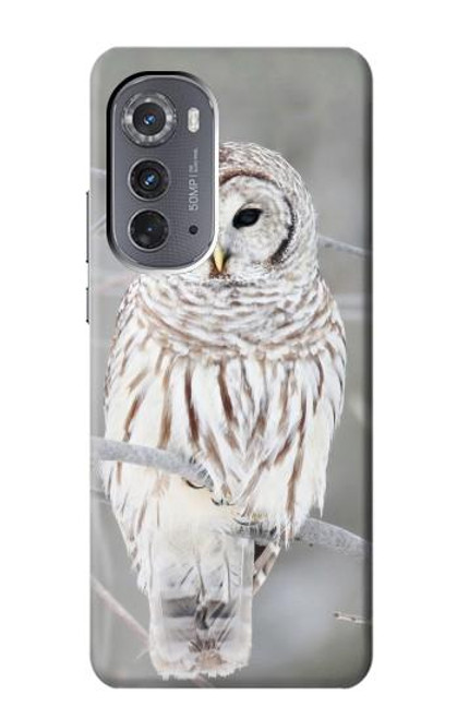 S1566 Snowy Owl White Owl Funda Carcasa Case para Motorola Edge (2022)