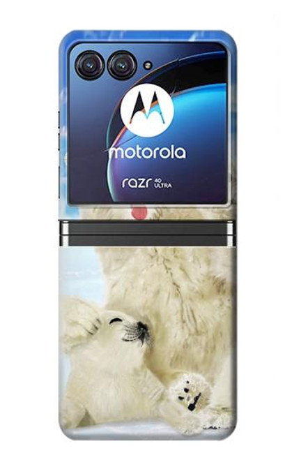 S3794 Arctic Polar Bear and Seal Paint Funda Carcasa Case para Motorola Razr 40 Ultra