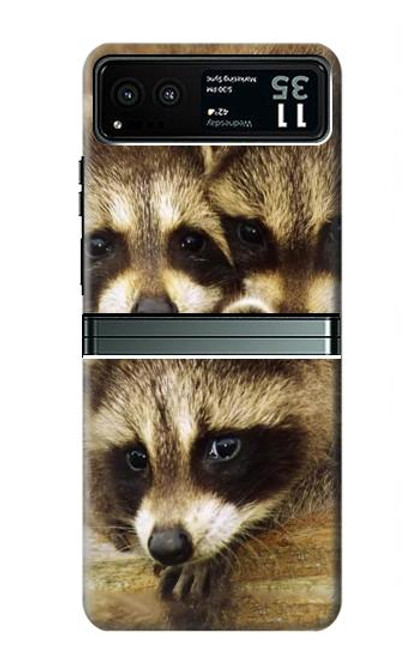 S0977 Baby Raccoons Funda Carcasa Case para Motorola Razr 40