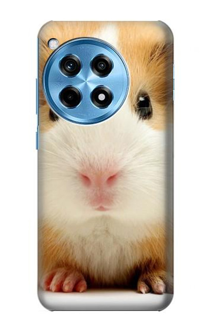 S1619 Cute Guinea Pig Funda Carcasa Case para OnePlus 12R