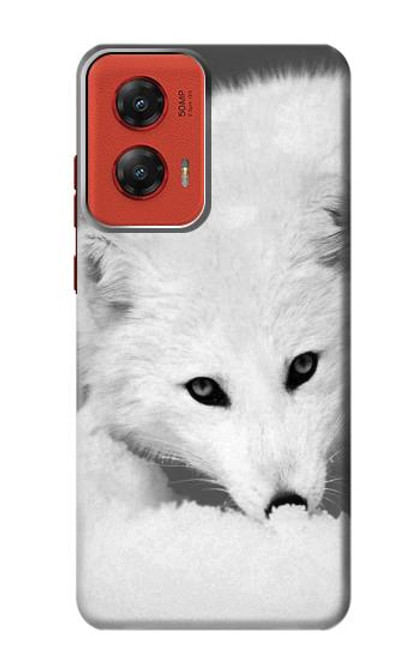 S2569 White Arctic Fox Funda Carcasa Case para Motorola Moto G Stylus 5G (2024)