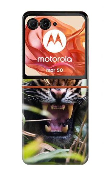 S3838 Barking Bengal Tiger Funda Carcasa Case para Motorola Razr 50