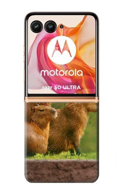 S3917 Capybara Family Giant Guinea Pig Funda Carcasa Case para Motorola Razr 50 Ultra