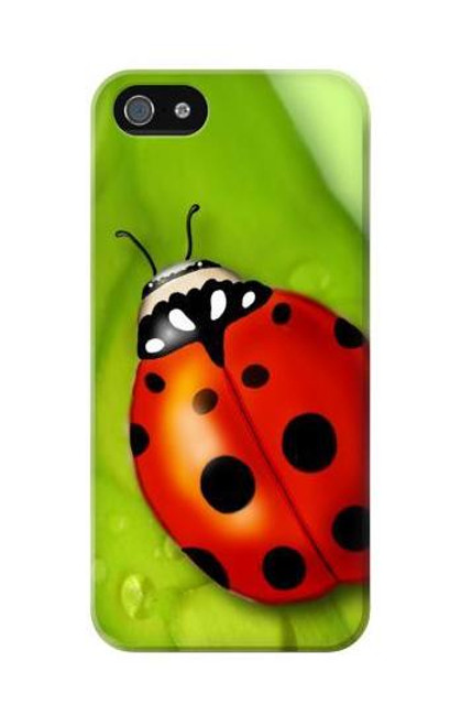 S0892 Ladybug Funda Carcasa Case para iPhone 5C