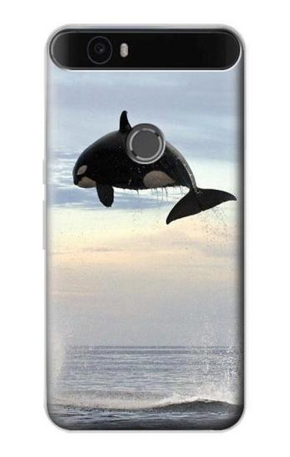 S1349 Killer whale Orca Funda Carcasa Case para Huawei Nexus 6P