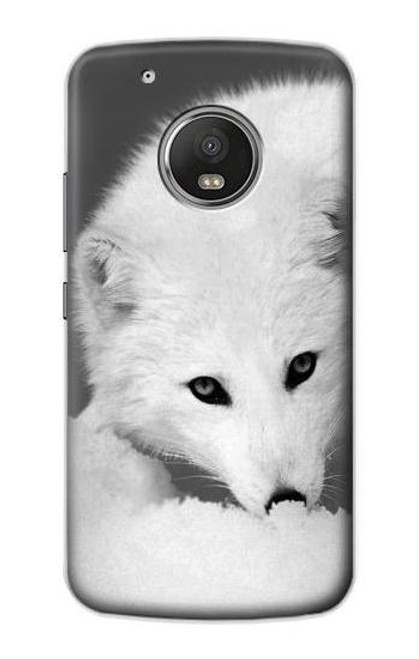 S2569 White Arctic Fox Funda Carcasa Case para Motorola Moto G5 Plus