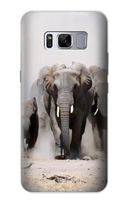 S3142 African Elephant Funda Carcasa Case para Samsung Galaxy S8 Plus