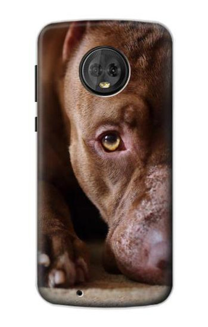 S0519 PitBull Face Funda Carcasa Case para Motorola Moto G6