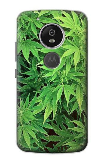 S1656 Marijuana Plant Funda Carcasa Case para Motorola Moto G6 Play, Moto G6 Forge, Moto E5