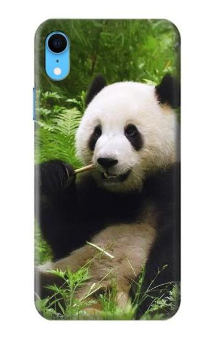 S1073 Panda Enjoy Eating Funda Carcasa Case para iPhone XR