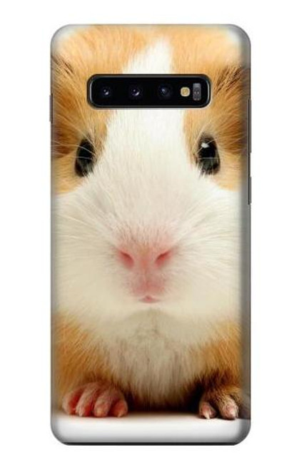 S1619 Cute Guinea Pig Funda Carcasa Case para Samsung Galaxy S10 Plus