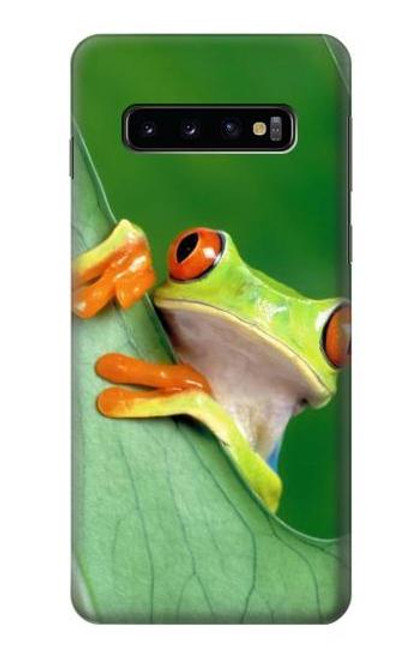 S1047 Little Frog Funda Carcasa Case para Samsung Galaxy S10