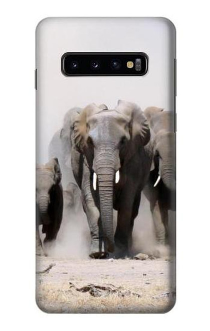 S3142 African Elephant Funda Carcasa Case para Samsung Galaxy S10