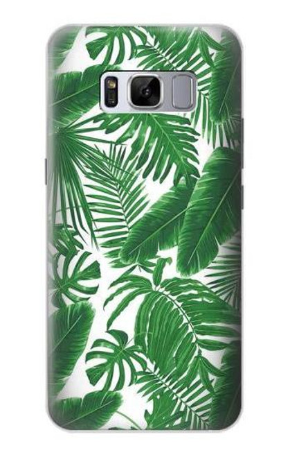 S3457 Paper Palm Monstera Funda Carcasa Case para Samsung Galaxy S8 Plus