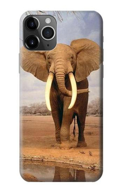 S0310 African Elephant Funda Carcasa Case para iPhone 11 Pro