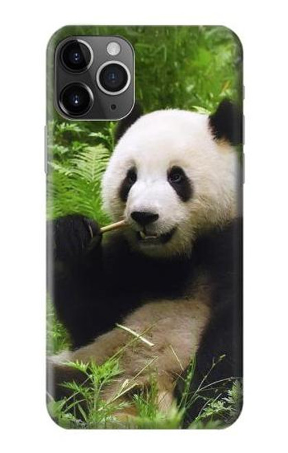 S1073 Panda Enjoy Eating Funda Carcasa Case para iPhone 11 Pro Max