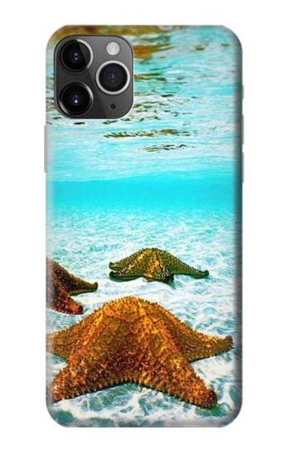 S1679 Starfish Sea Beach Funda Carcasa Case para iPhone 11 Pro Max