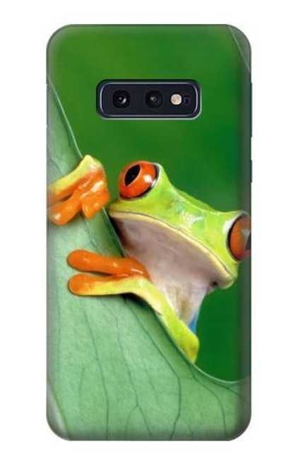 S1047 Little Frog Funda Carcasa Case para Samsung Galaxy S10e