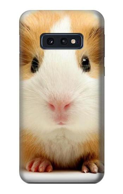 S1619 Cute Guinea Pig Funda Carcasa Case para Samsung Galaxy S10e