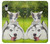 S3795 Grumpy Kitten Cat Playful Siberian Husky Dog Paint Funda Carcasa Case para iPhone XR