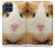 S1619 Cute Guinea Pig Funda Carcasa Case para Samsung Galaxy M53