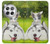 S3795 Kitten Cat Playful Siberian Husky Dog Paint Funda Carcasa Case para OnePlus 12