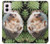 S3863 Pygmy Hedgehog Dwarf Hedgehog Paint Funda Carcasa Case para Motorola Moto G Power 5G (2024)