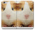 S1619 Cute Guinea Pig Funda Carcasa Case para iPhone 6 Plus, 6S Plus