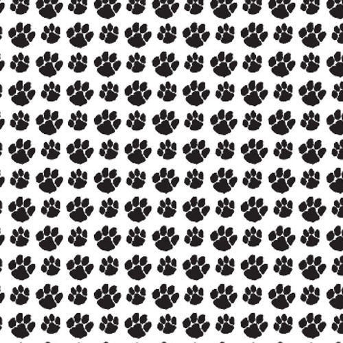  SISER46 - Black Paw 