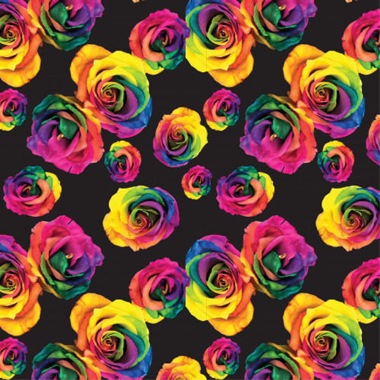 Rainbow Roses on Black - HTV Pattern