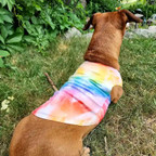  WALAKustom Sublimated Pet Tank/Shirt by Silky Socks 