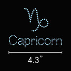  Capricorn 