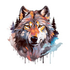 WALAStock Watercolor Wolf 