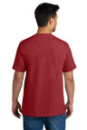 Soft and budget-friendly Port & Company® CVC Tee with rib knit neck