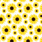 SISER1031 - Sunflowers