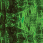 Nitrous graphic on HTV, perfect for creating custom designs on shirts and fashion accessories