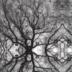 Gloss finish spooky tree pattern vinyl, perfect for Halloween-themed banners and car graphics