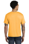 Soft and comfortable Alternative Go-To Tee AA1070 with set-in ribbed knit neckband