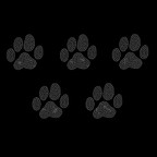 Radiant rhinestone heat transfer design for eye-catching wardrobe sparkle